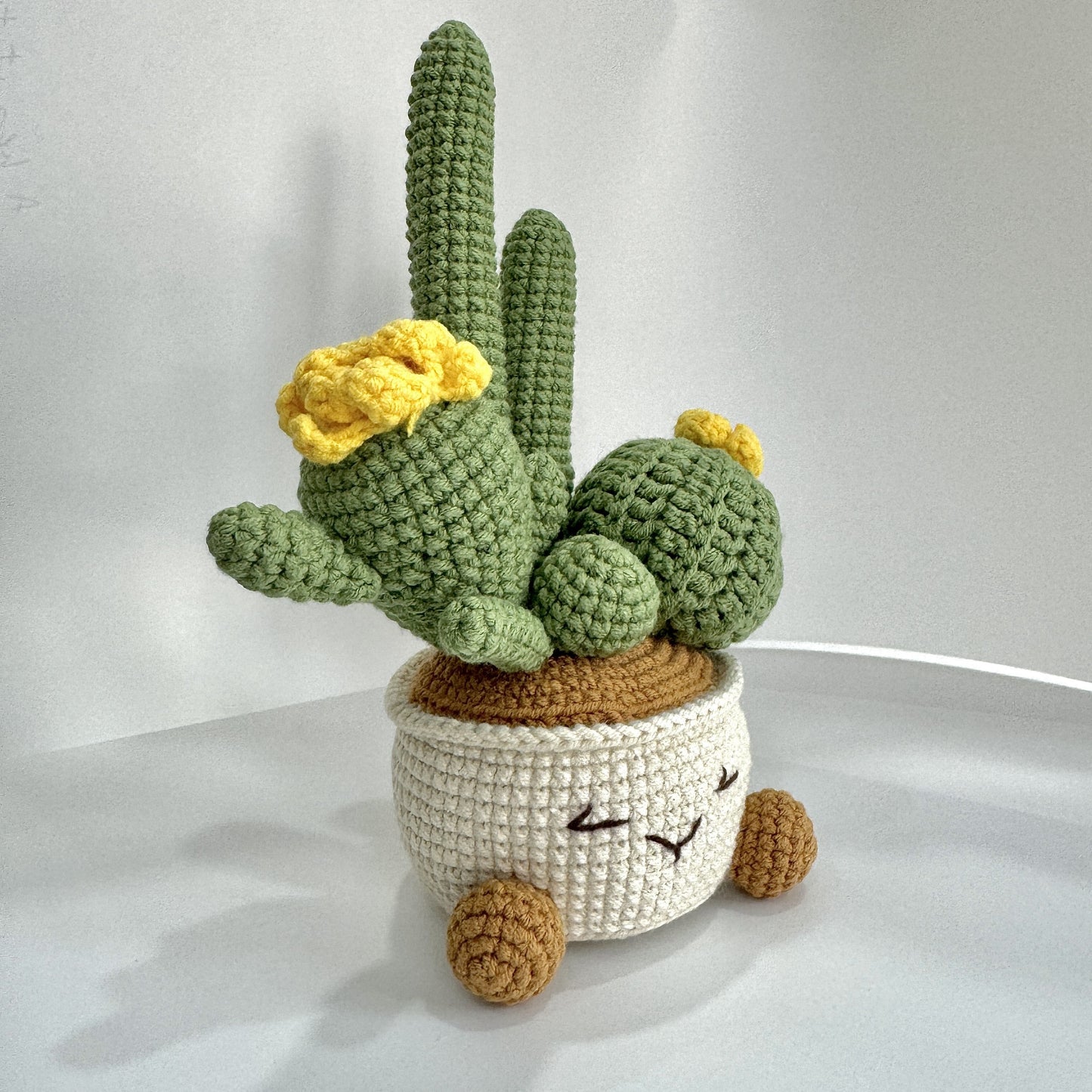 Hand Woven Cactus Artificial Plants with Container - Office Decoration Plush Hovosia,Desktop Bedroom Display - Very suitable for a new home,Christmas,Halloween,Hanukkah Festival,Thanksgiving Day,Mother's Day。