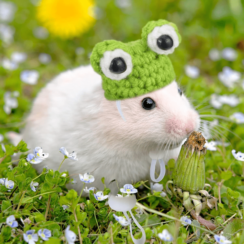 4 Pack of Handmade Crochet Animal Hats,Suitable for Hamsters、Small Pets and Reptiles - Polyester Comfort Hat,Decorated with cute ears and eyes,Suitable for Christmas and Winter
