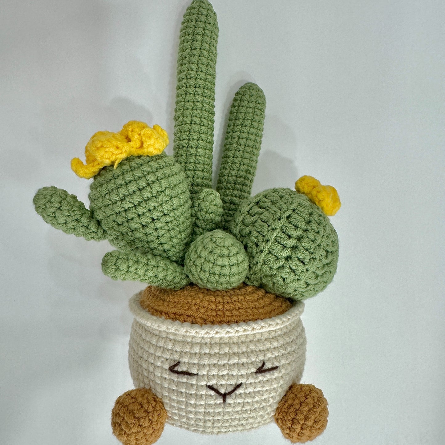 Hand Woven Cactus Artificial Plants with Container - Office Decoration Plush Hovosia,Desktop Bedroom Display - Very suitable for a new home,Christmas,Halloween,Hanukkah Festival,Thanksgiving Day,Mother's Day。