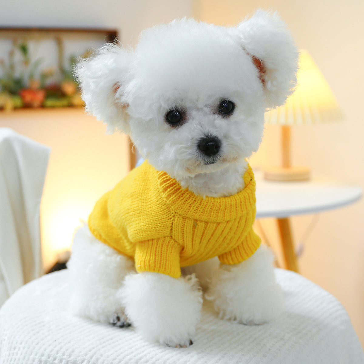 2 Piece Set Dinosaur Sweater Set - green + Yellow Pet Supplies Puppy Supplies Cat Supplies Sweater Set with High Collar