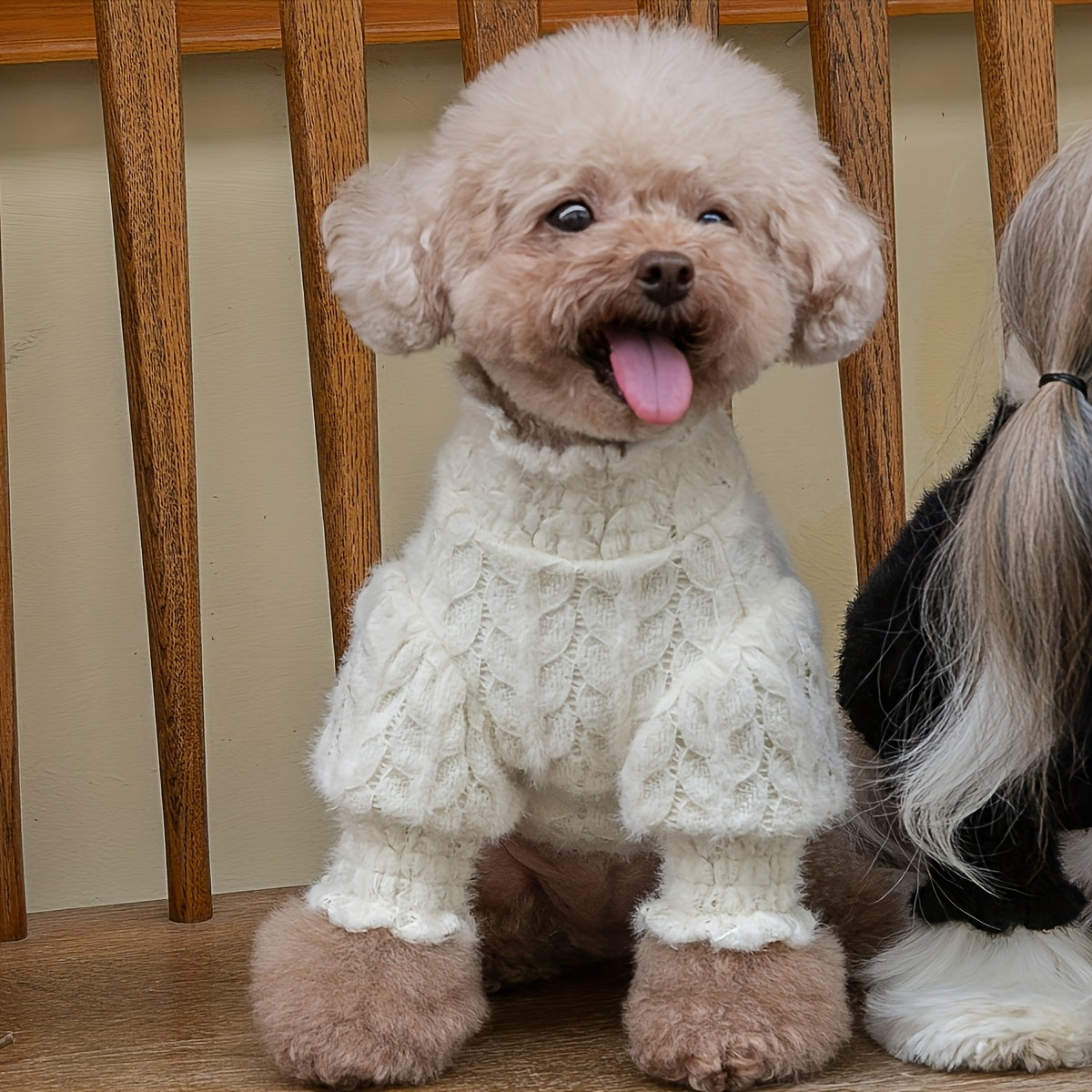 A White Puff Sleeve Plush Lace Pet Top Suitable for Cats and Dogs Can Be Used in Spring