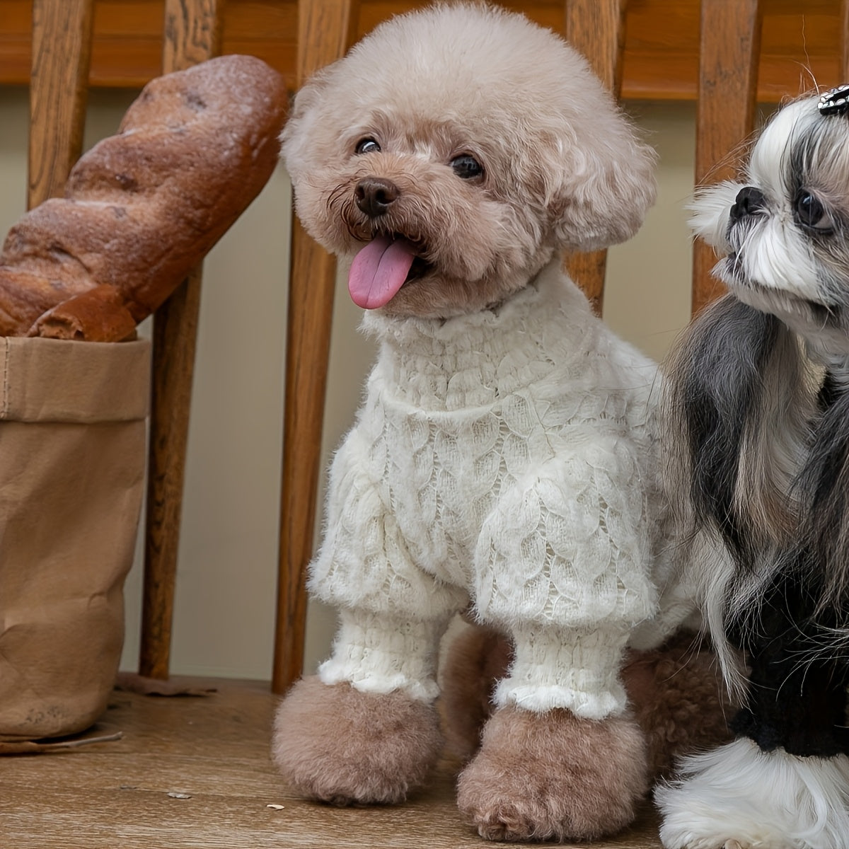 A White Puff Sleeve Plush Lace Pet Top Suitable for Cats and Dogs Can Be Used in Spring