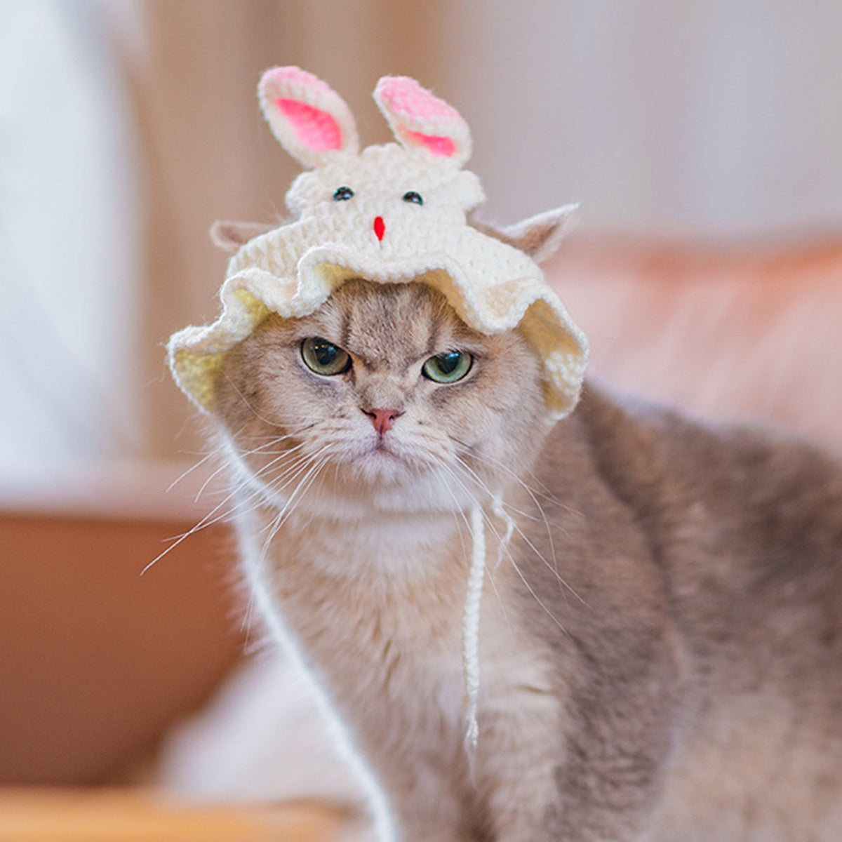 2Elegant Crochet Cat Hat with Bunny Ears,Ruffled edges and floral decorations - 100% Polyester Pet Clothing for Small to Medium Cats - Birthday、Holiday and Travel Photography Accessories - Comfortable Pet Clothing,Cute Bunny Theme,Comfortable Close-Fittin