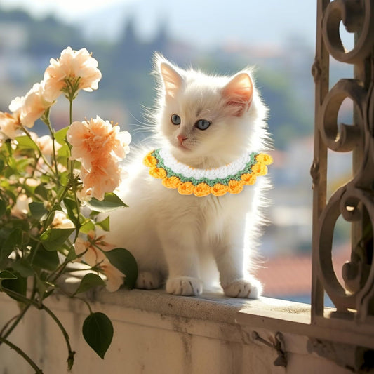 2Pack of Colorful Handwoven Pet Scarves and Bibs，Suitable for dogs and cats