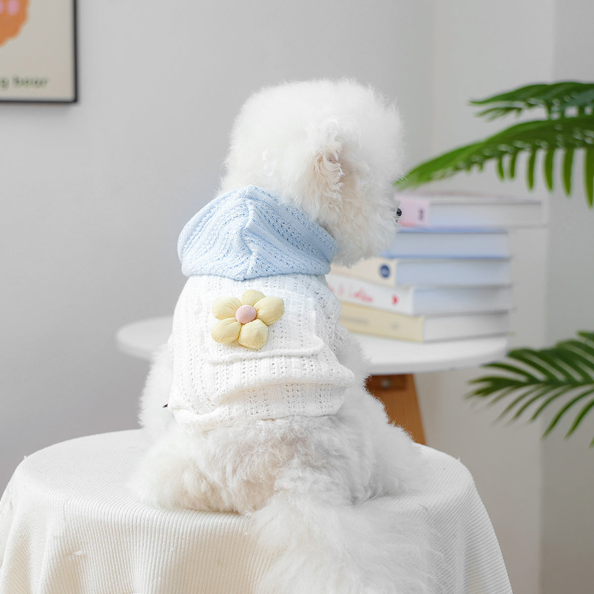 Light Blue and White Crochet Knitted Small Dog Hoodie - Breathable Pullover with Flower Patch，Adjustable Hood Pocket and Pocket，Spring Summer Autumn Teddy Bichon Fluffy Plush Dog Clothes，Comfortable Pet Shirt for Small Dogs