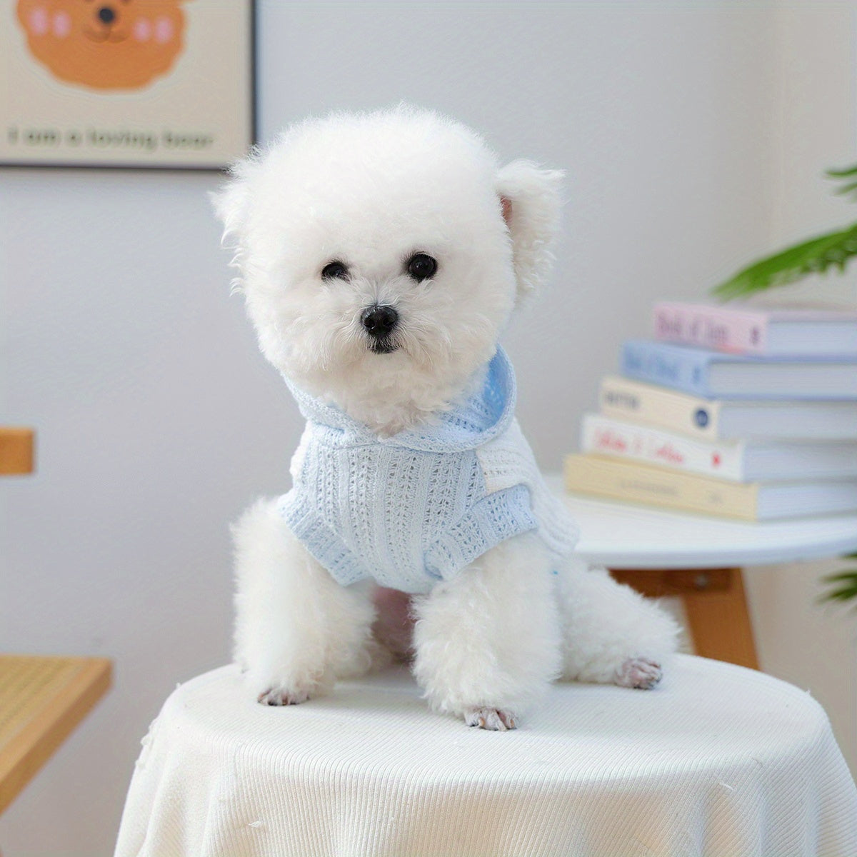 Light Blue and White Crochet Knitted Small Dog Hoodie - Breathable Pullover with Flower Patch，Adjustable Hood Pocket and Pocket，Spring Summer Autumn Teddy Bichon Fluffy Plush Dog Clothes，Comfortable Pet Shirt for Small Dogs