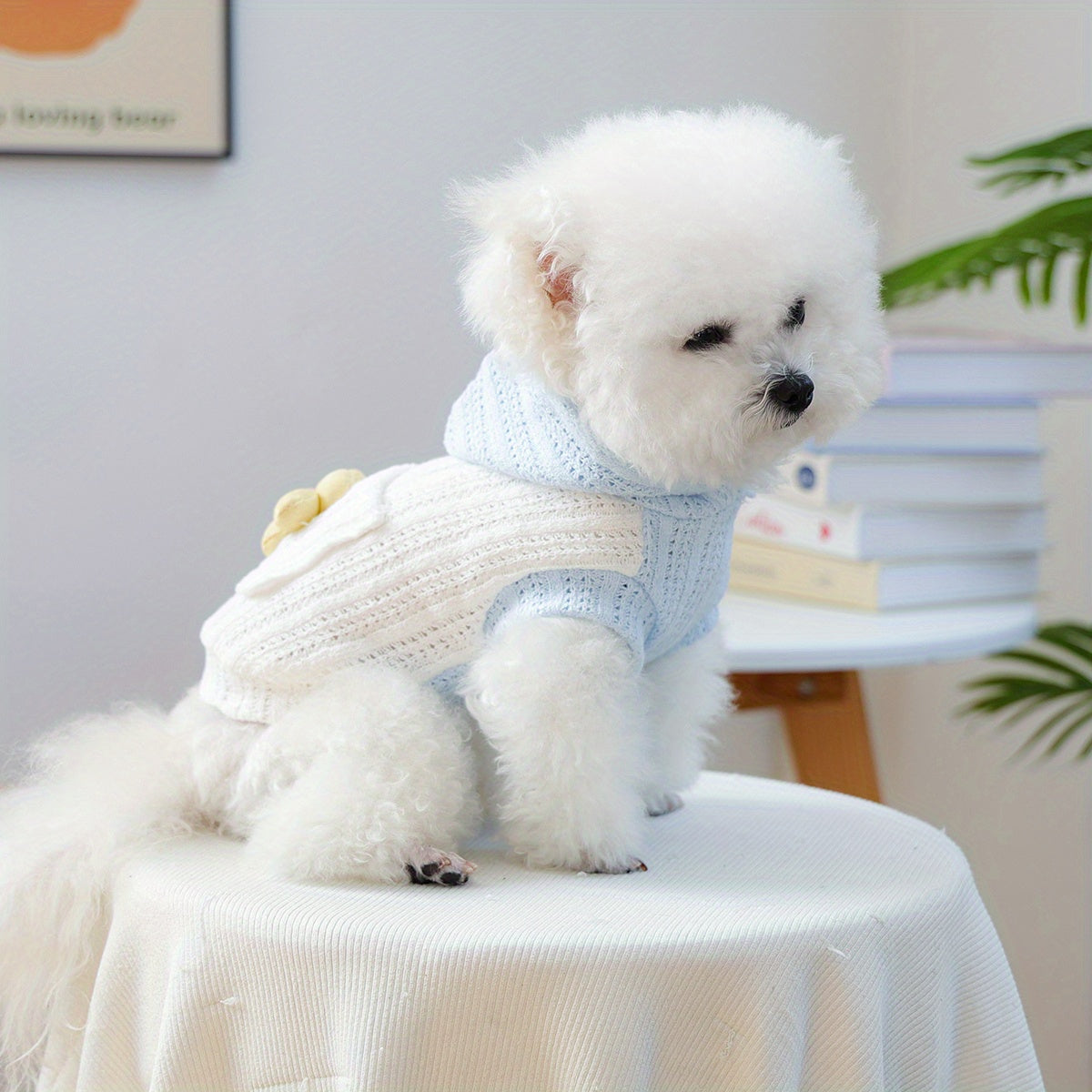 Light Blue and White Crochet Knitted Small Dog Hoodie - Breathable Pullover with Flower Patch，Adjustable Hood Pocket and Pocket，Spring Summer Autumn Teddy Bichon Fluffy Plush Dog Clothes，Comfortable Pet Shirt for Small Dogs